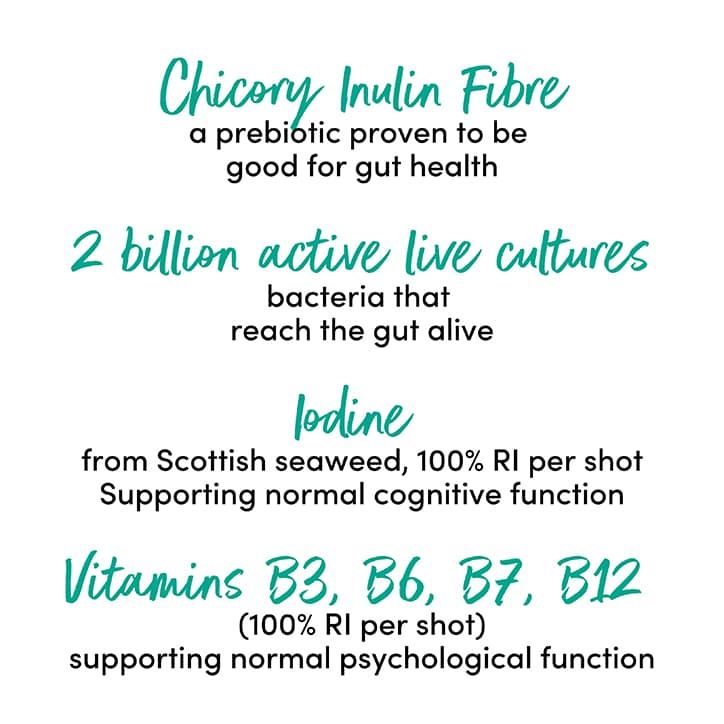 No.1 Living Gut &amp;amp; Brain Kombucha Health Shot 60ml