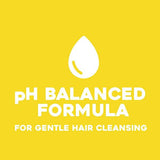 OGX Hydrate &amp;amp; Defrizz+ Kukui Oil pH Balanced Shampoo 385ml