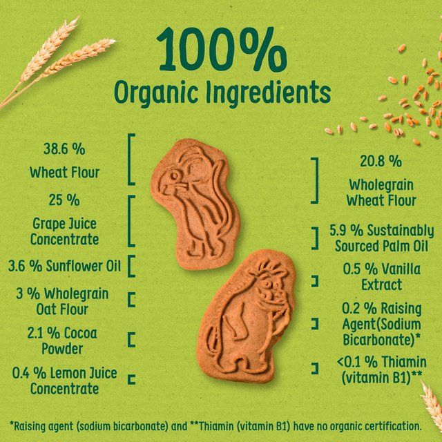 Organix Cocoa &amp;amp; Vanilla Organic Gruffalo Biscuits 12 mths+ Multipack   5 x 20g