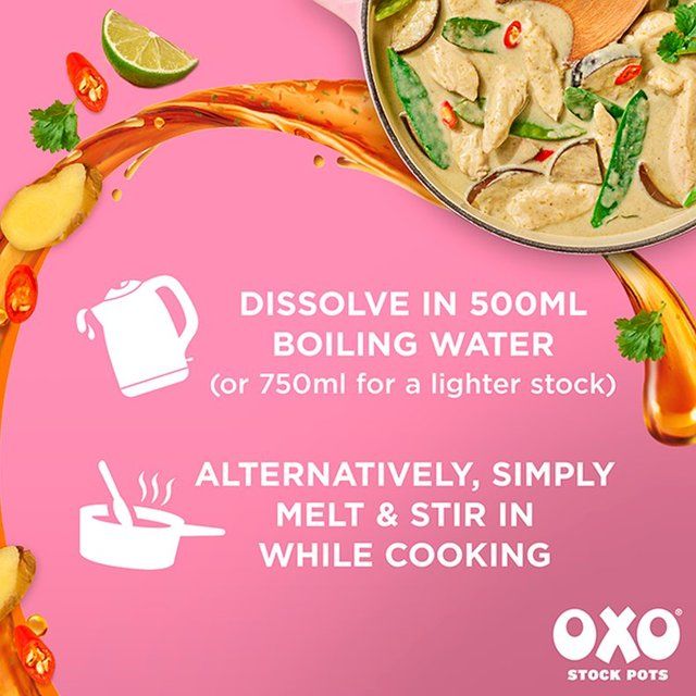 Oxo Aromatic Asian Stock Pots   4 x 20g