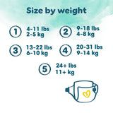 Pampers Harmonie pelenka 3-es méretű Essential Pack 28 csomagonként
