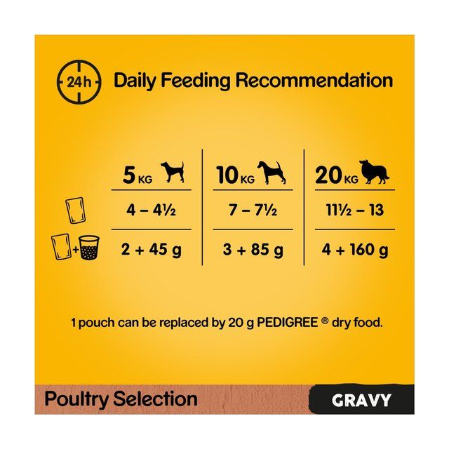 Pedigree Adult Wet Dog Food Pouches Mixed Varieties in Gravy   12 x 100g