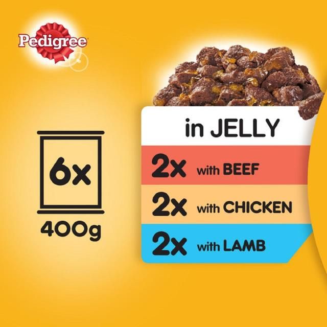 Pedigree Adult Wet Dog Food Tins Mixed in Jelly    6 x 385g