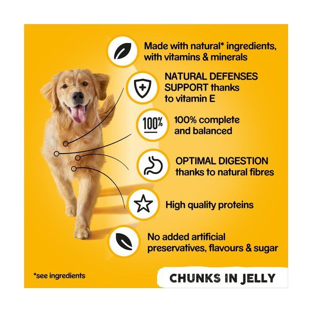 Pedigree Adult Wet Dog Food Tins Mixed in Jelly    6 x 385g