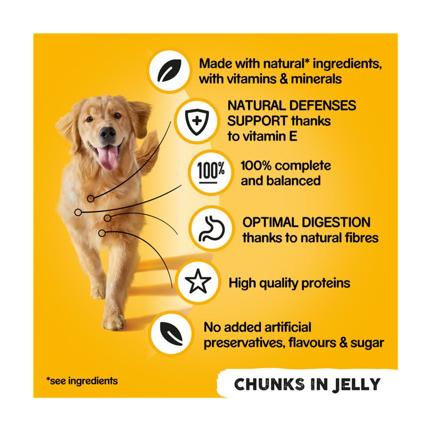 Pedigree Adult Wet Dog Food Tins Mixed in Jelly Jumbo Pack