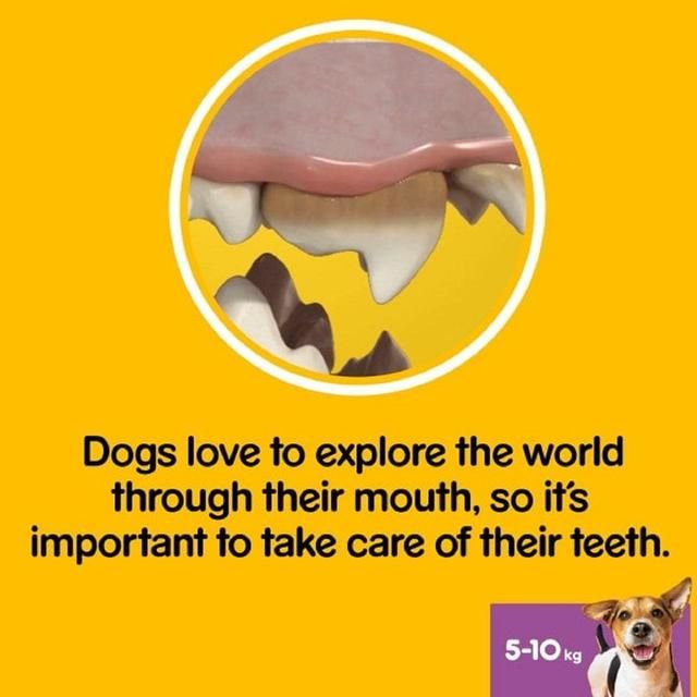 Törzskönyv Dentastix Daily Adult Small Dog csemege 7 x 16g
