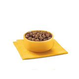 Pedigree Wet Dog Food Pouches with Beef Liver and Vegetables in Gravy   12 x 100g