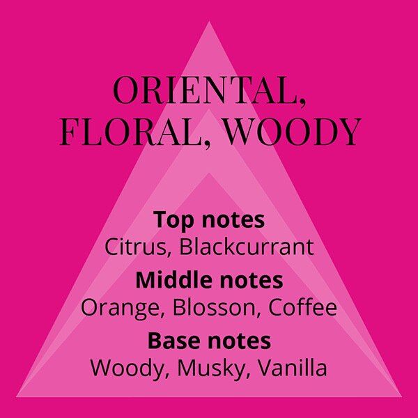 Perfumer's Choice 50ml EDP Gift Set For Her