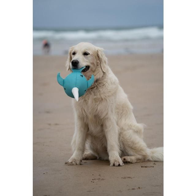 Petface Planet Ocean Cycle Niya Narwhal Toy Dog Toy
