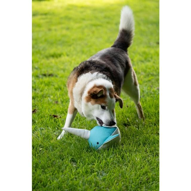 Petface Planet Ocean Cycle Niya Narwhal Toy Dog Toy
