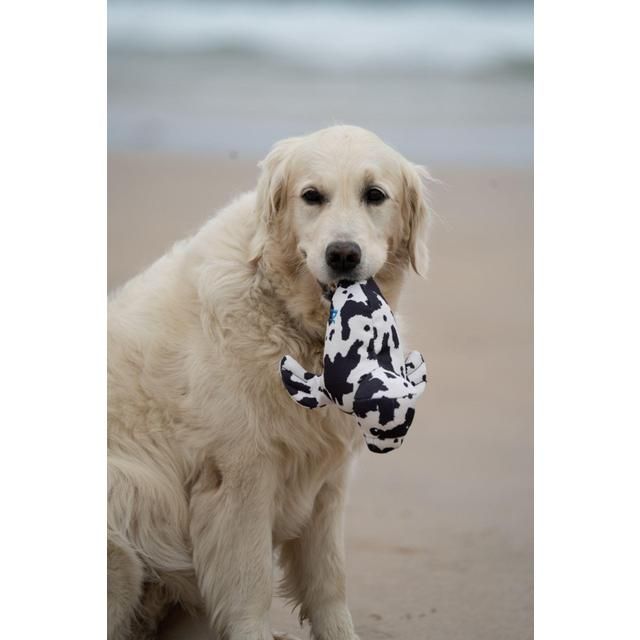 Petface Planet Ocean Cycle Sienna Seal Plush Dog Toy
