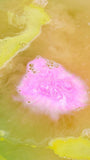 Pig in a Poke Bath Bomb