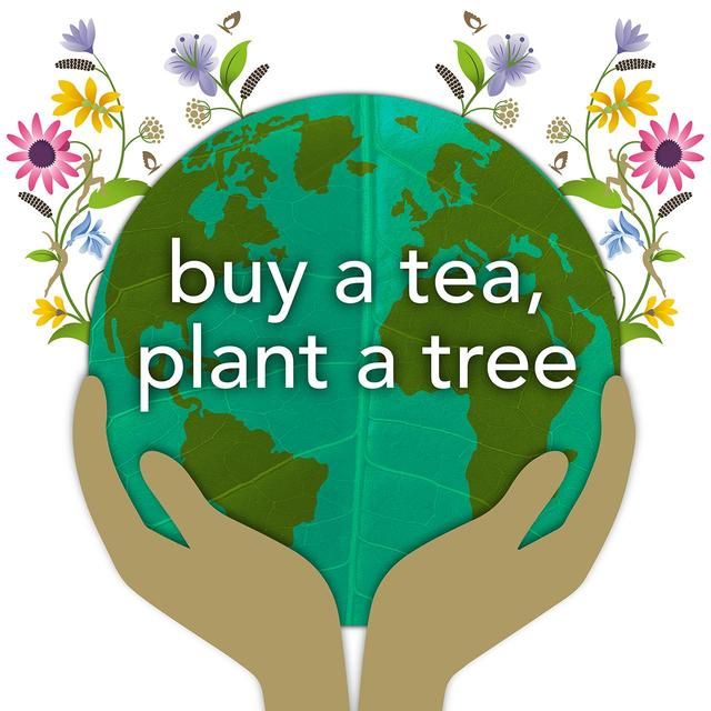 Pukka Organic Three Chamomile Tea 20 Home Compostable Herbal Tea Bags   20 per pack