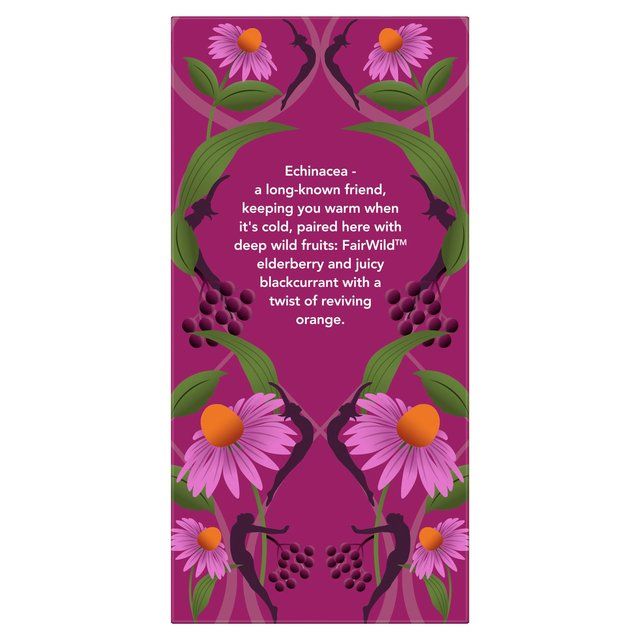 Pukka Tea Herbs Elderberry &amp;amp; Echinacea with Elderflower Tea Bags   20 per pack