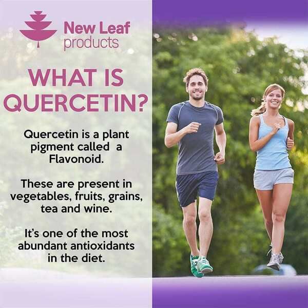 Quercetin Supplement 500mg High Strength Antioxidant Capsule