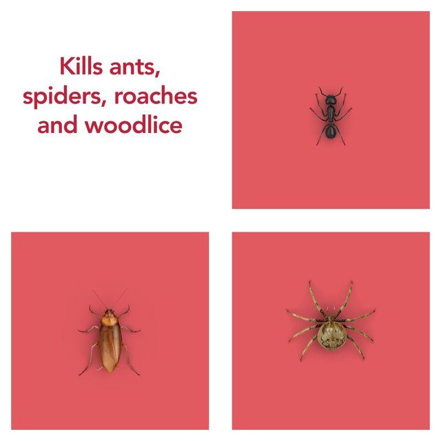 Raid Ant &amp;amp; Cockroach Killer   300ml