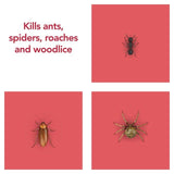 Raid Ant &amp;amp; Cockroach Killer   300ml