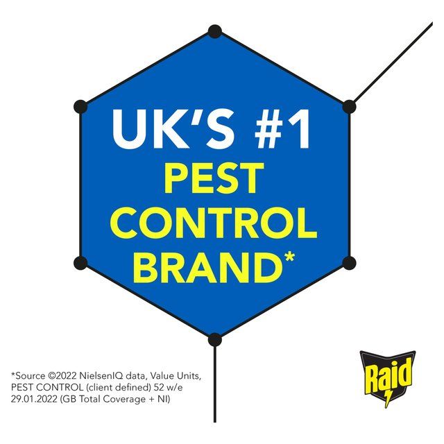 Raid Ant Killer Powder   250g