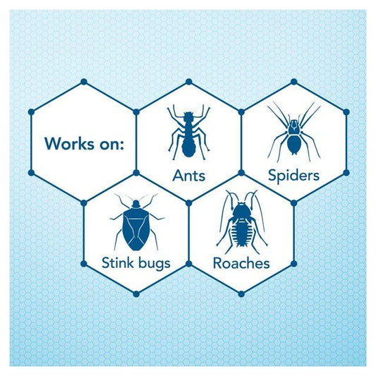 Raid Freeze Crawling Insects Spray   300ml