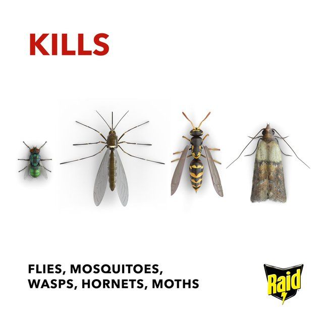 Raid Rapid Action Fly &amp;amp; Wasp Killer   300ml