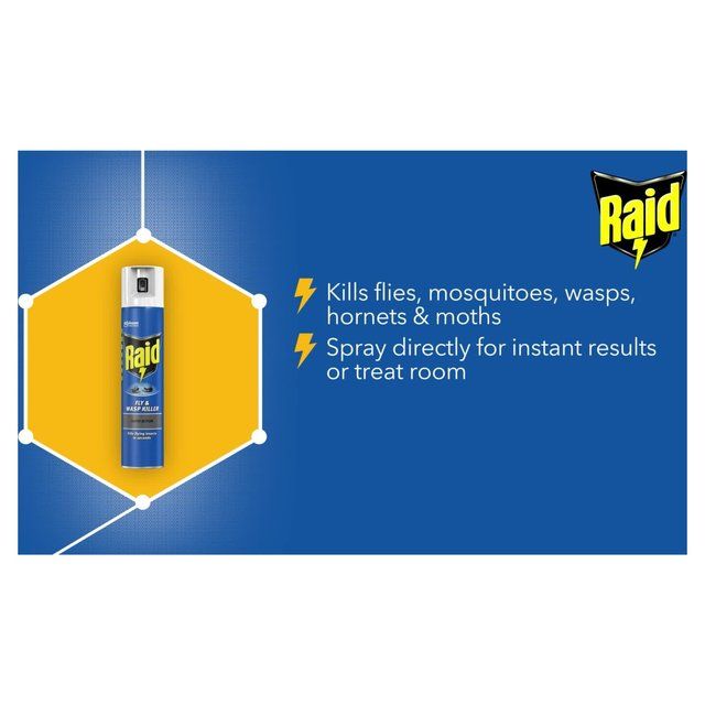 Raid Rapid Action Fly &amp;amp; Wasp Killer   300ml