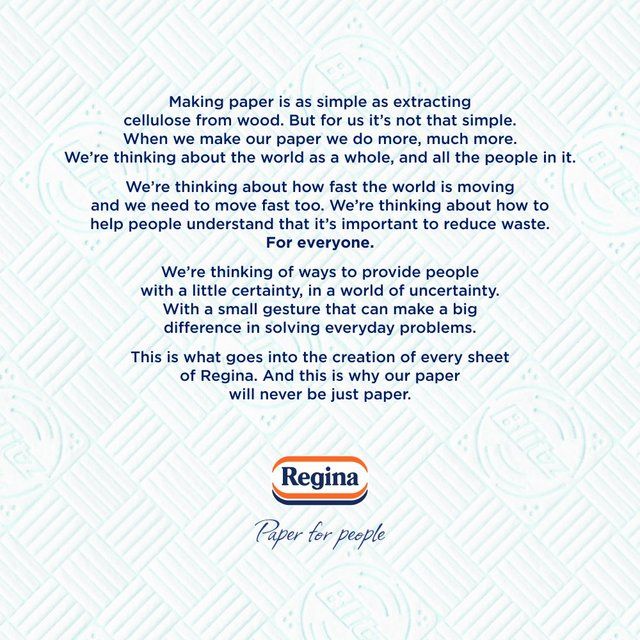 Regina Blitz Household Towel