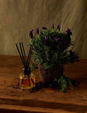 Relax Diffuser 100ml