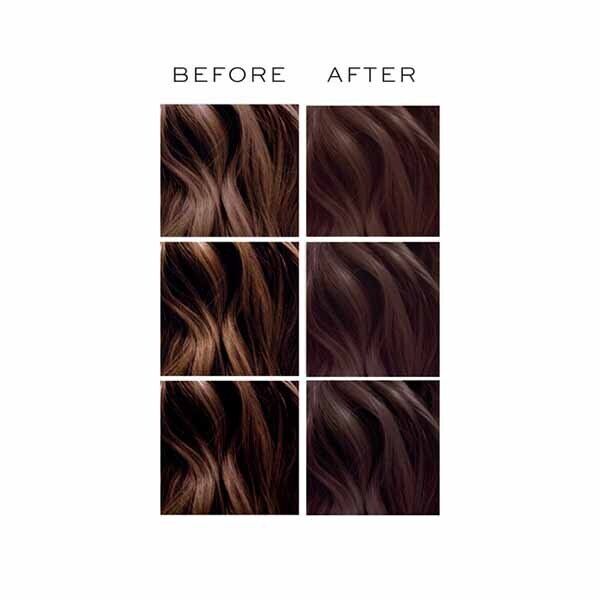 Revolution Hair Plex Bond Restore Toner Kit - Cafe Au Lait