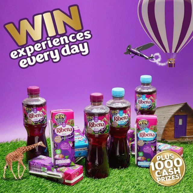 Ribena Blackcurrant Juice Cartons   6 x 250ml