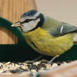 RSPB Table Seed Mix   1800g