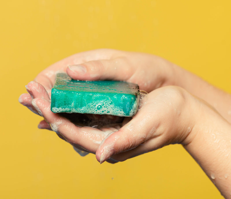 Lush Sea Vegetable Soap - British product