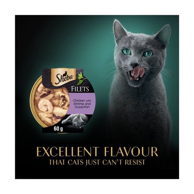 Sheba Fillets Cat Food Tray with Chicken Shrimp and Ocean fish in Gravy   60g