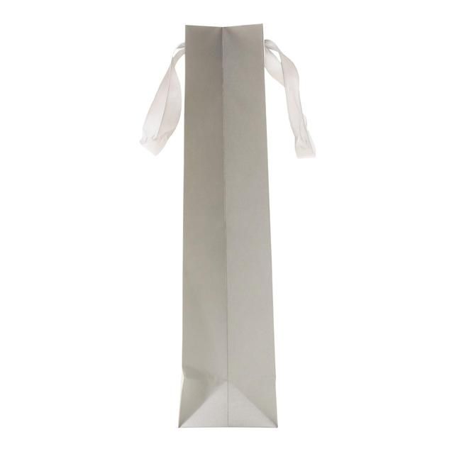 Silver Bottle Bag