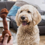 SmartBones 2 Medium Beef Rawhide Free Bone Dog Treats   158g