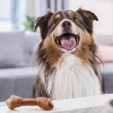 SmartBones Large Chicken Rawhide Free Bone Dog Treat   109g