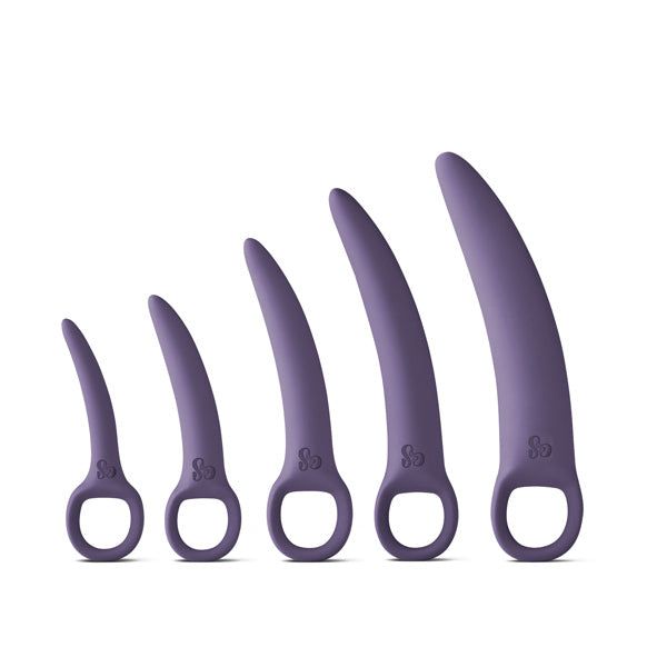 So Divine Embrace &amp;amp; Thrive  Dilator Set