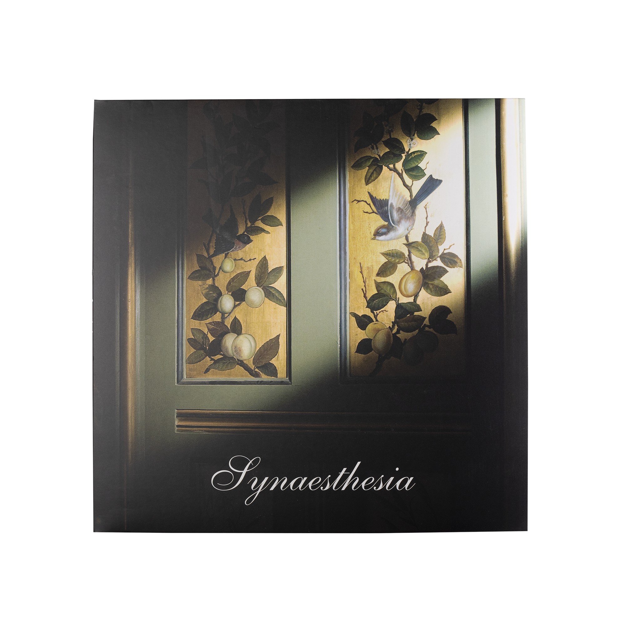Synaesthesia vinyl record with USB card and 12-inch disc (British brand)