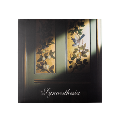 Lush Synaesthesia Vinyl Album with USB- Buy online at McGrocer