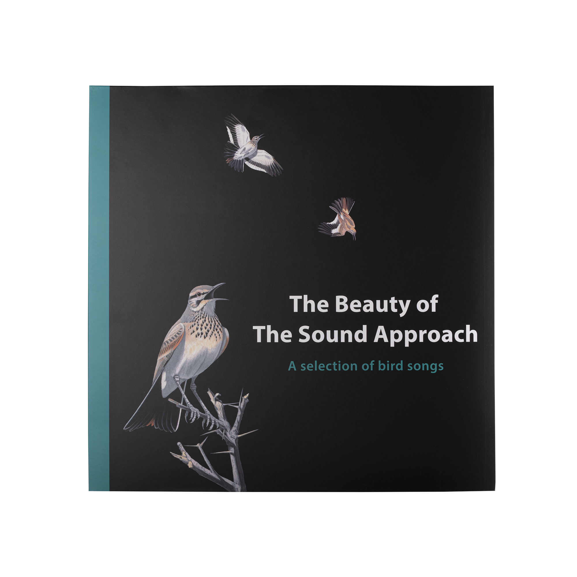 The Sound Approach vinyl record with USB bird recordings - British product