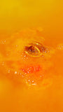The One With Orange Slices Bath Bomb