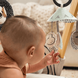 Tiny Love Décor Luxe Gymini baby gym Black & White, UK version