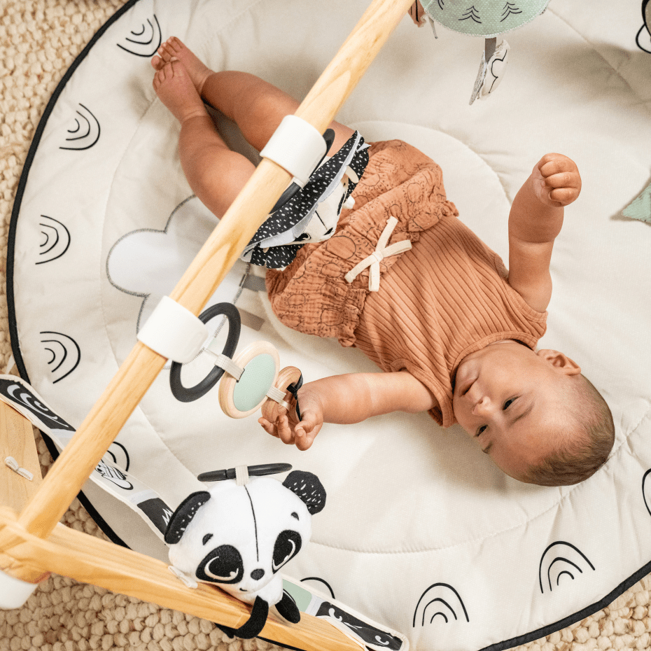 Tiny Love Décor Luxe Gymini baby gym Black & White, UK version