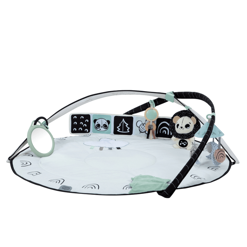 Tiny Love Gymini black and white activity gym (British brand)