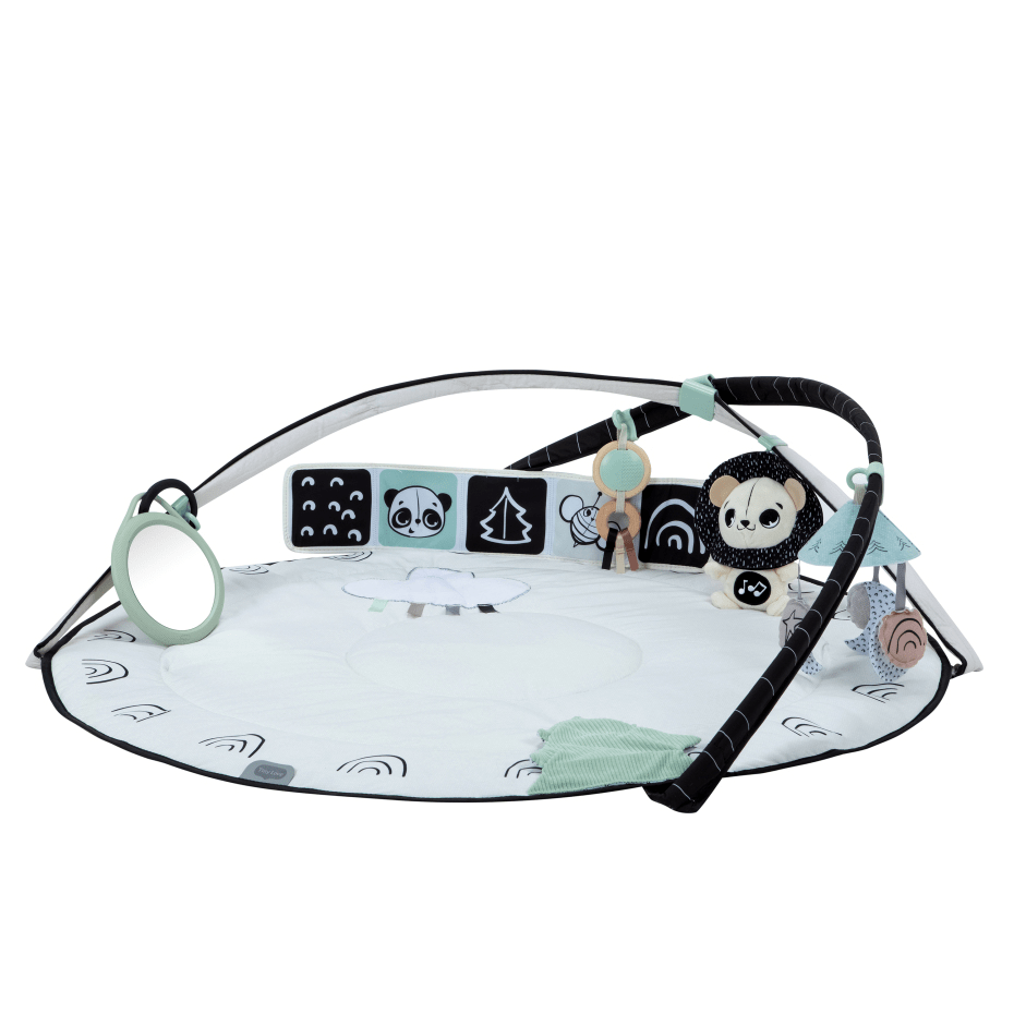 Tiny Love Gymini black and white activity gym (British brand)