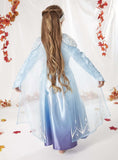 Disney Frozen Blue Elsa Costume Set 9-10 years GOODS Argos