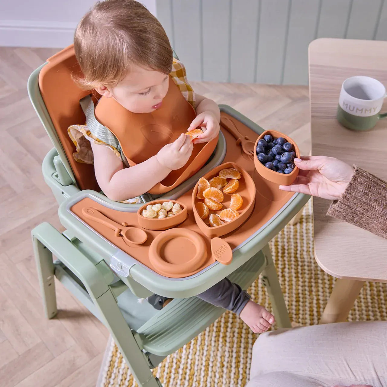 Tutti Bambini Nova Highchair Accessory Pack Ginger 10-piece set (British brand)