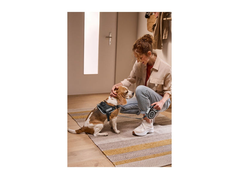 Retractable dog lead with reflective details 5m, UK version