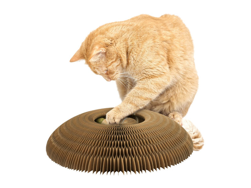 3-in-1 cat scratching board fish design - British product