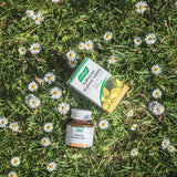 A.Vogel Pollinosan Hay Fever Tablets Hay Fever Tablets & Spray Holland&Barrett   