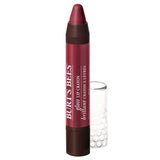 Burt's Bees Pacific Coast Gloss Lip Crayon 2.83g GOODS Holland&Barrett   